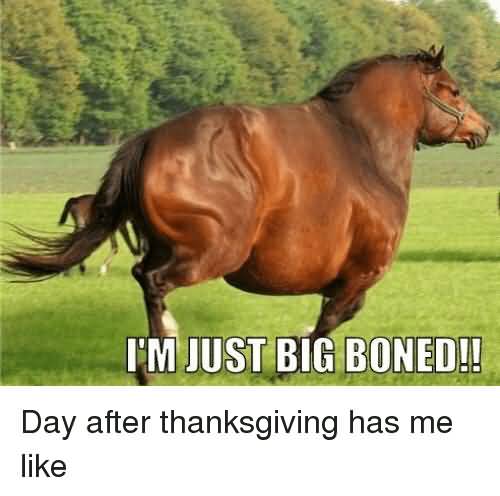 I'm Just Big Boned. Day After Thanksgiving Has Me Like Funny Meme Picture
