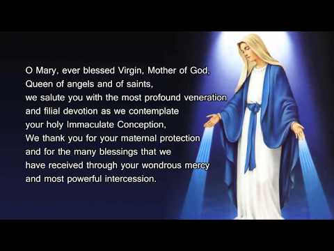 Immaculate Conception Day Of Mother Mary