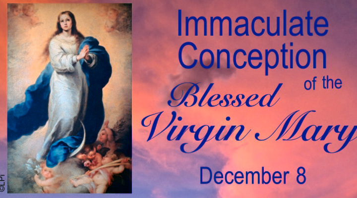 Immaculate Conception Of The Blessed Virgin Mary December 8