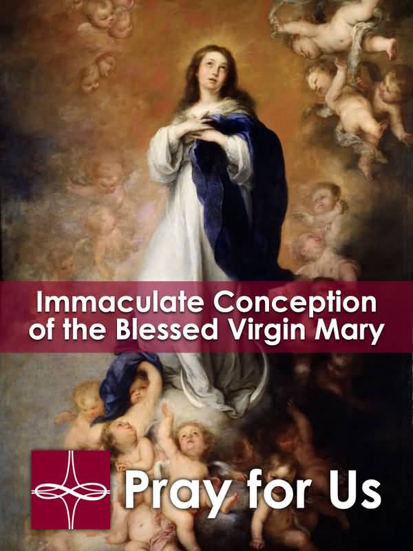 Immaculate Conception Of The Blessed Virgin Mary Pray For Us