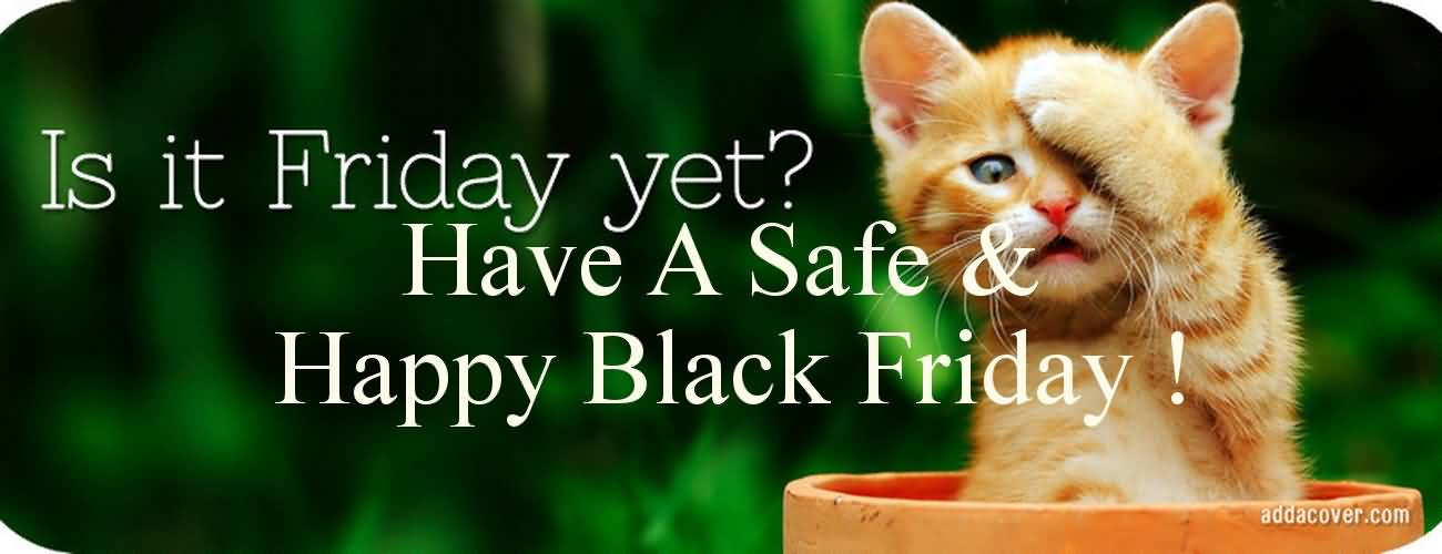 Is It Friday Yet Have A Safe & Happy Black Friday Kitten In Pot Picture