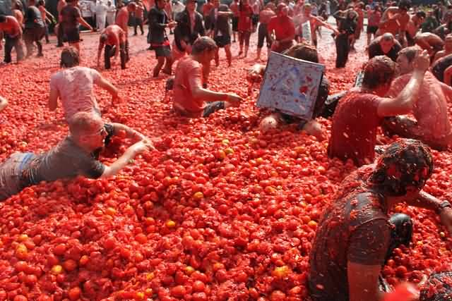 La Tomatina World's Biggest Food Fight