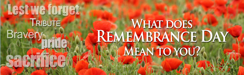 Lest We Forget What Does Remembrance Day Mean To You