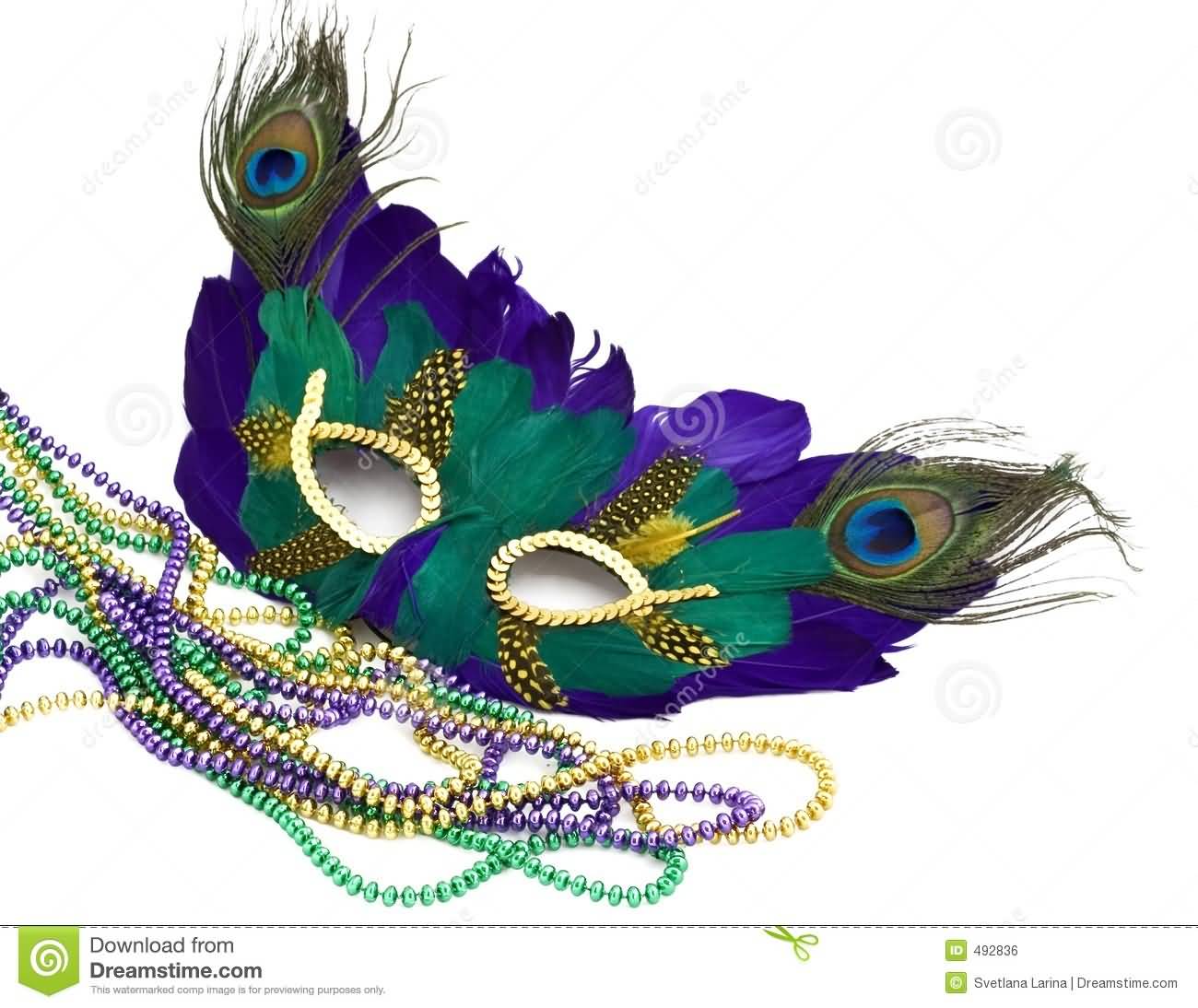 Mardi Gras Mask And Beads
