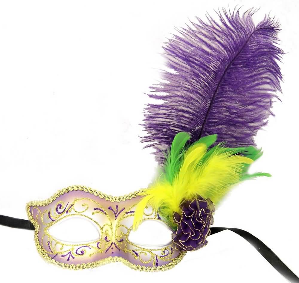 Mardi Gras Mask With Feather