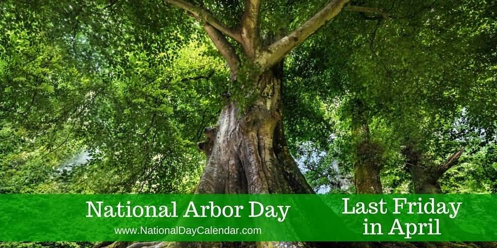 National Arbor Day Last Friday In April