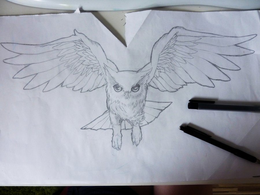 Nice Outline Flying Owl Tattoo Design