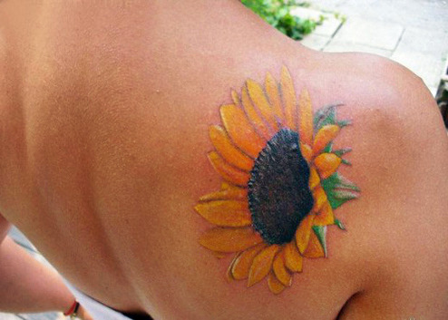 Nice Realistic Sunflower Tattoo On Right Back Shoulder