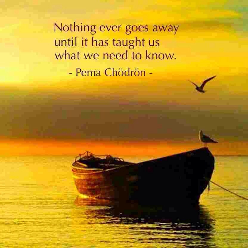 Nothing ever goes away until it has taught us what we need to know. Pema Chödrön