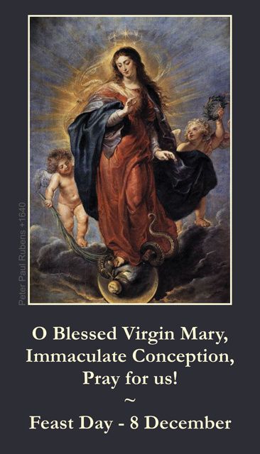 O Blessed Virgin Mary, Immaculate Conception, Pray For Us. Feast Day 8 December
