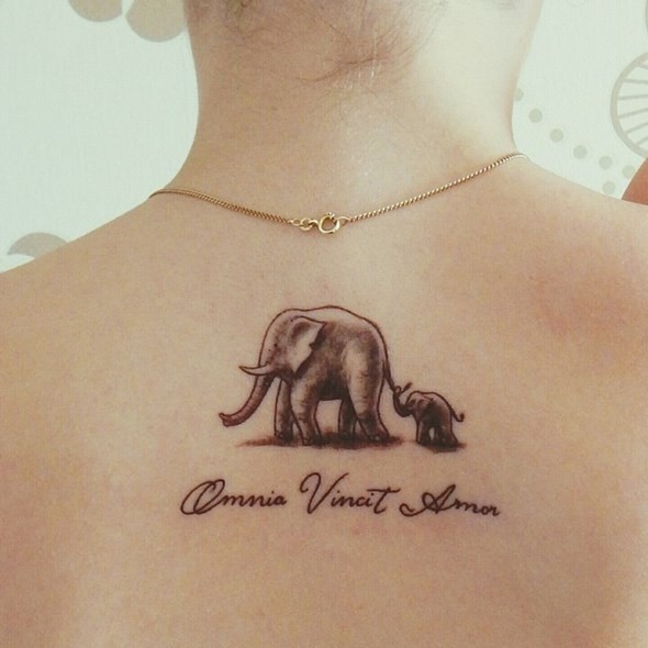Omnia Vincit Amor - Black Ink Elephant With Baby Elephant Tattoo On Upper Back