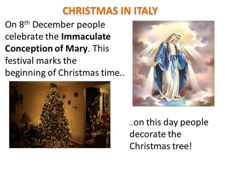 On 8th December People Celebrate The Immaculate Conception Of Mary
