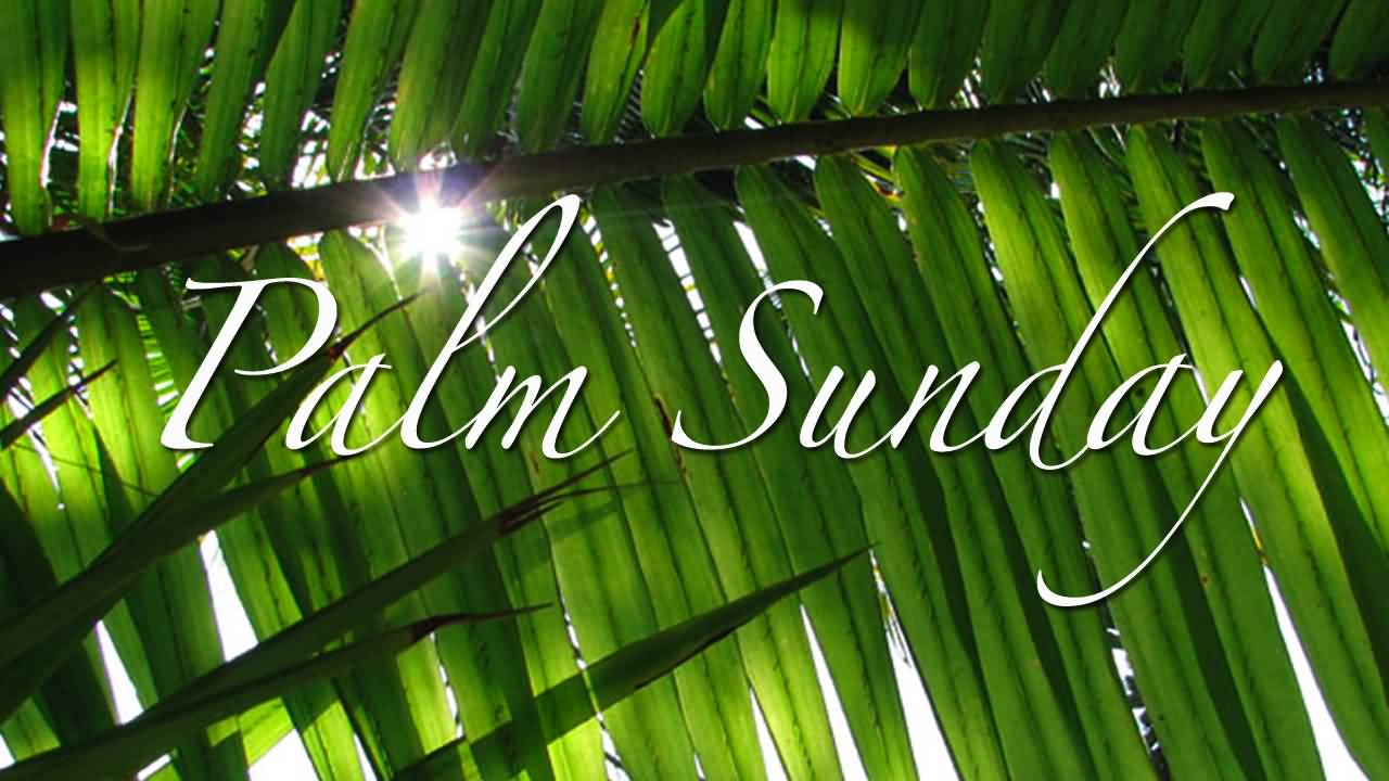 Palm Sunday Greetings Picture