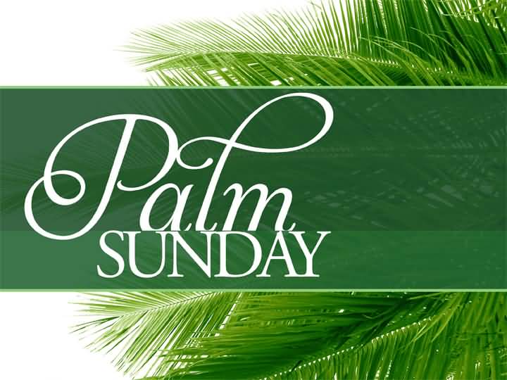 Palm Sunday Wishes Clipart