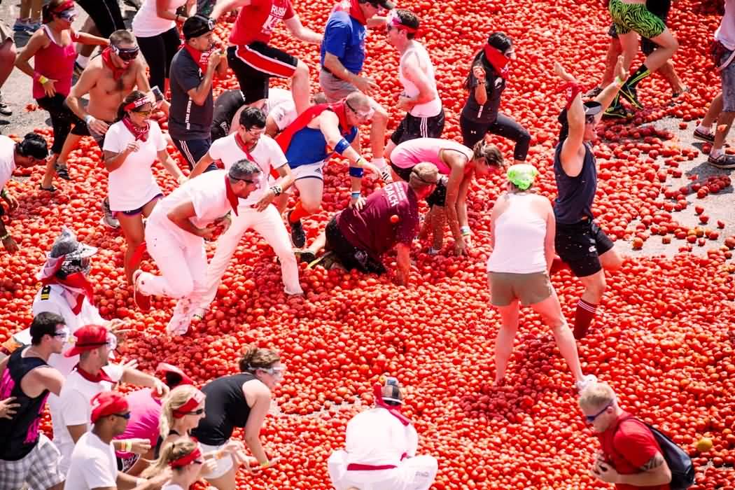 People Of Spain Celebrating La Tomatina Festival
