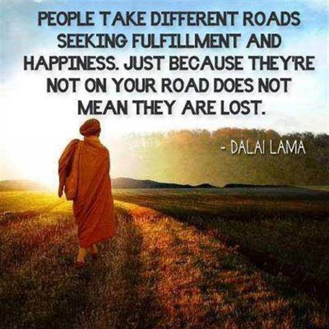 People take different roads seeking fulfillment and happiness. Just because they're not on your road doesn't mean they've gotten lost. Dalai Lama XIV