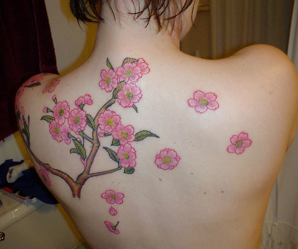 Pink Flowers Cherry Blossom Tattoo On Girl Back