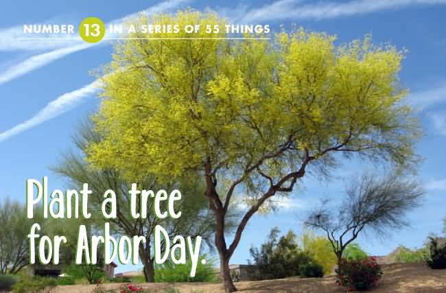 Plant A Tree For Arbor Day