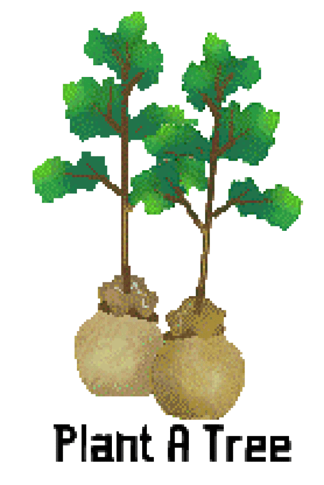 Plant A Tree It's Arbor Day 2017