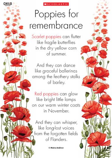 Poppies For Remembrance Day