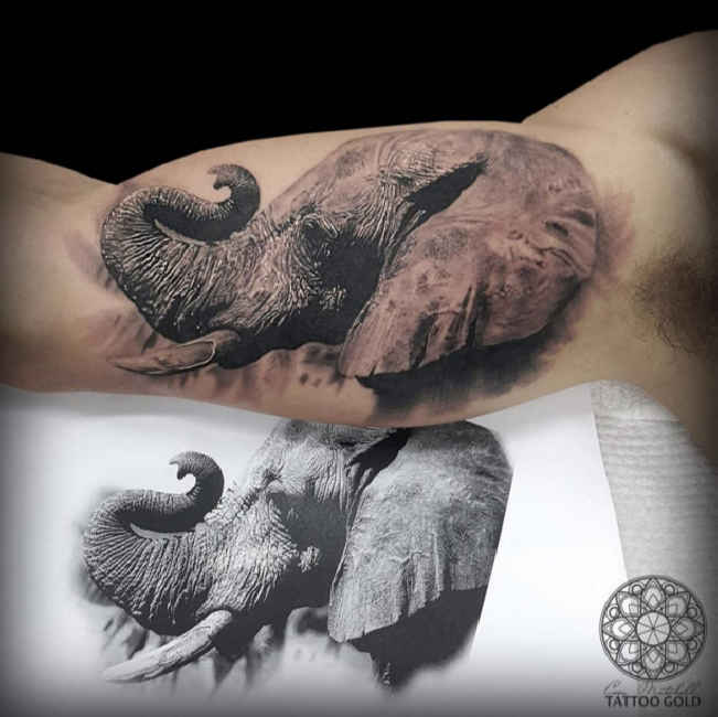 Realistic 3D Elephant Head Tattoo On Bicep By Coenmitchell