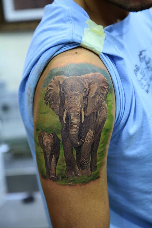 Realistic Asian Elephant With Baby Elephant Tattoo On Right Shoulder