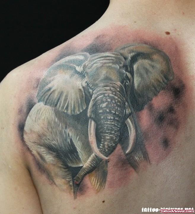 Realistic Elephant Tattoo On Left Back Shoulder