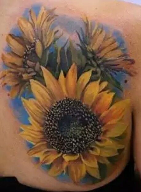 Realistic Sunflower Tattoo On Back Shoulder