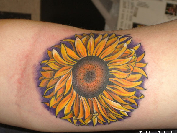 Realistic Sunflower Tattoo On Bicep