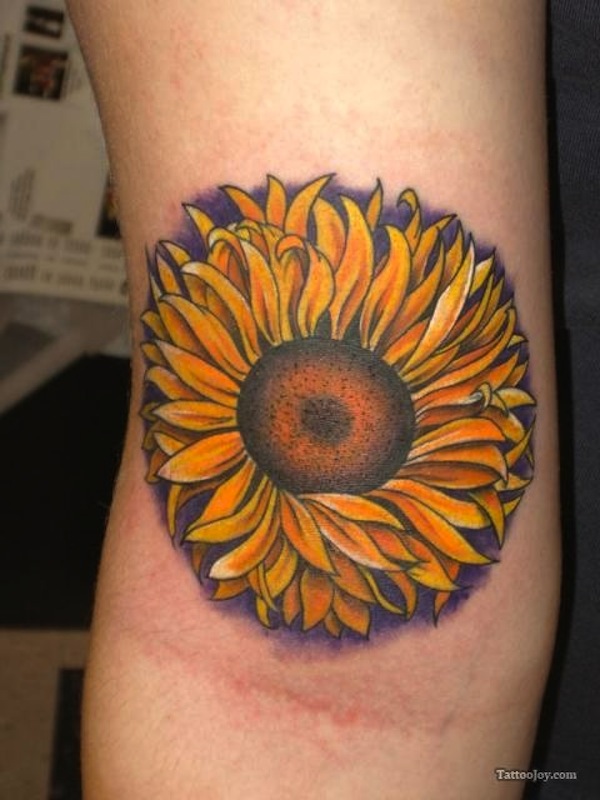 Realistic Sunflower Tattoo On Girl Right Bicep