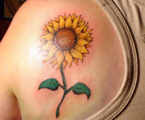 Realistic Sunflower Tattoo On Left Back Shoulder