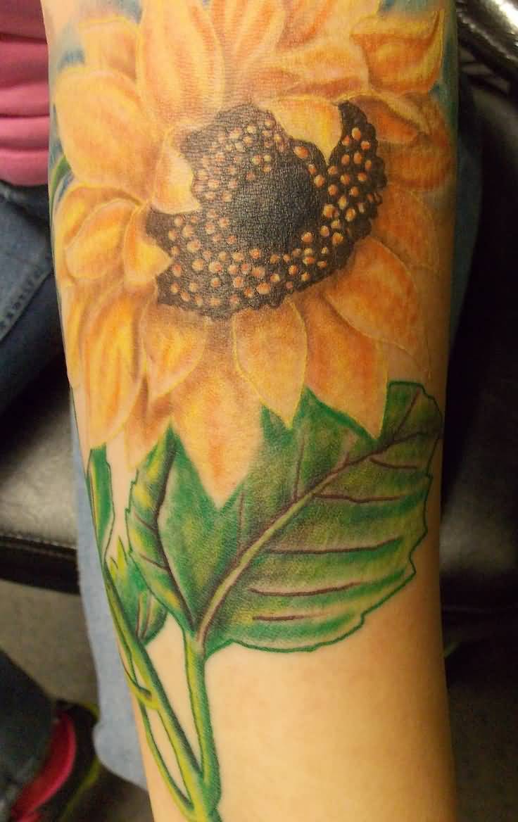 Realistic Sunflower Tattoo On Left Sleeve