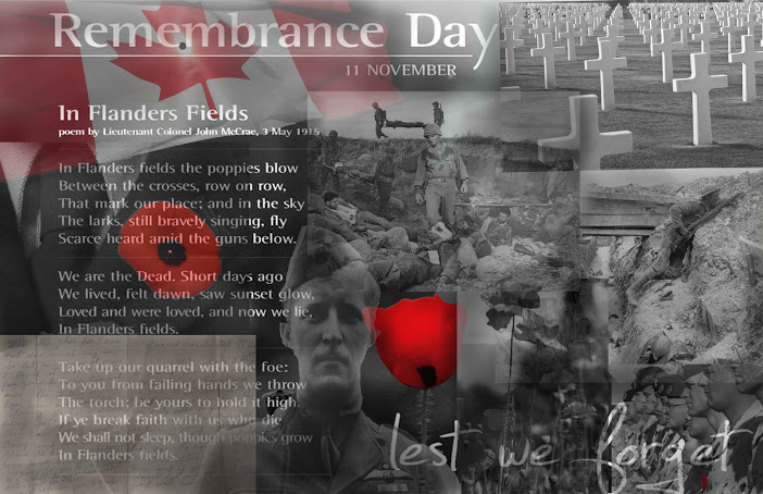 Remembrance Day 11 November In Flander Fields Poem