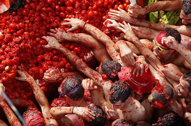 Revelers Fight For Tomatoes During The Annual La Tomatina Festival