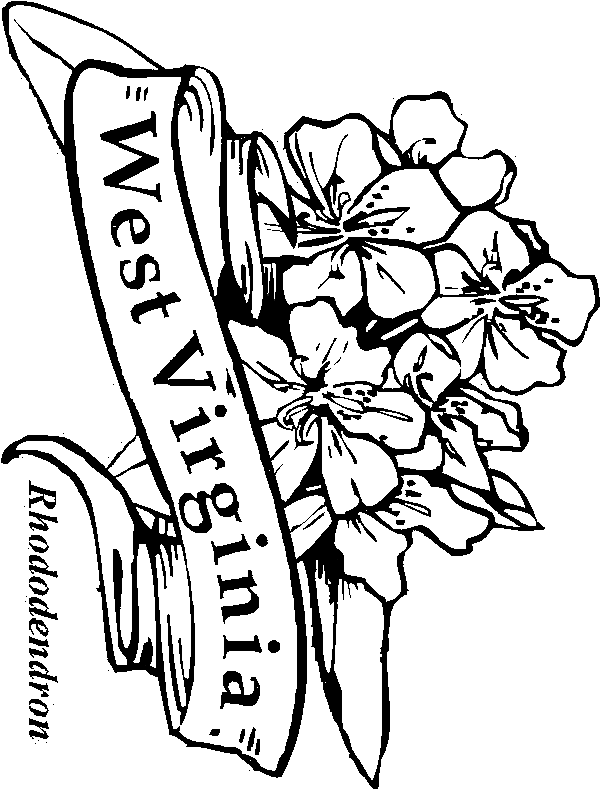 Rhododendron Flowers With Banner Tattoo Stencil