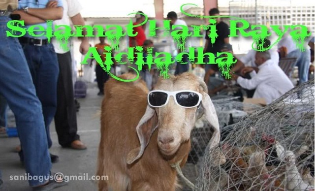 Selamat Hari Raya Aidiladha Goat With Sunglasses