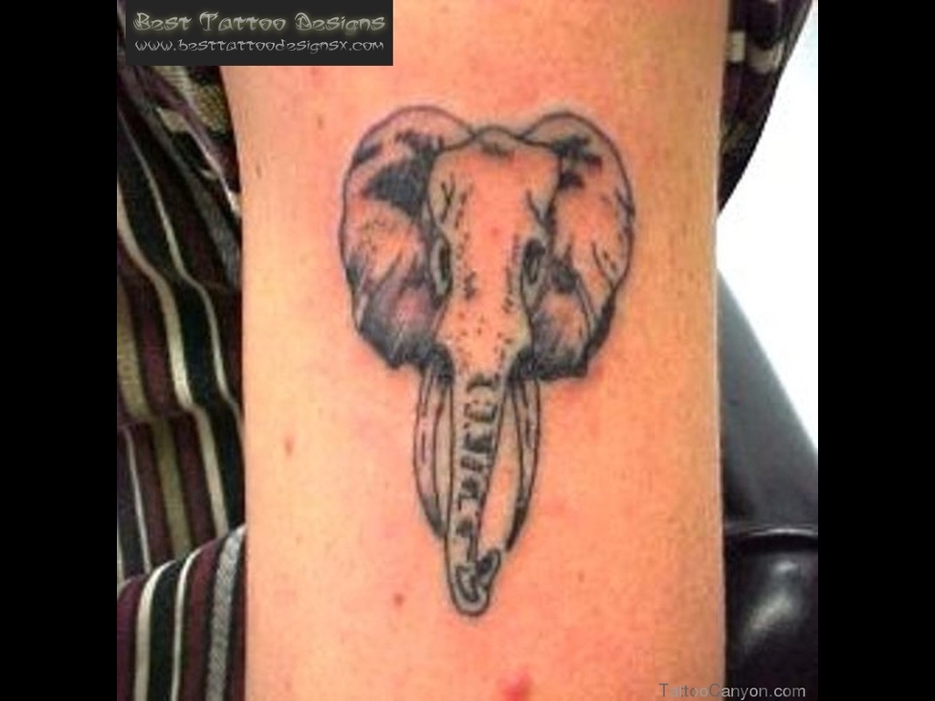 Simple Elephant Head Tattoo Design For Sleeve