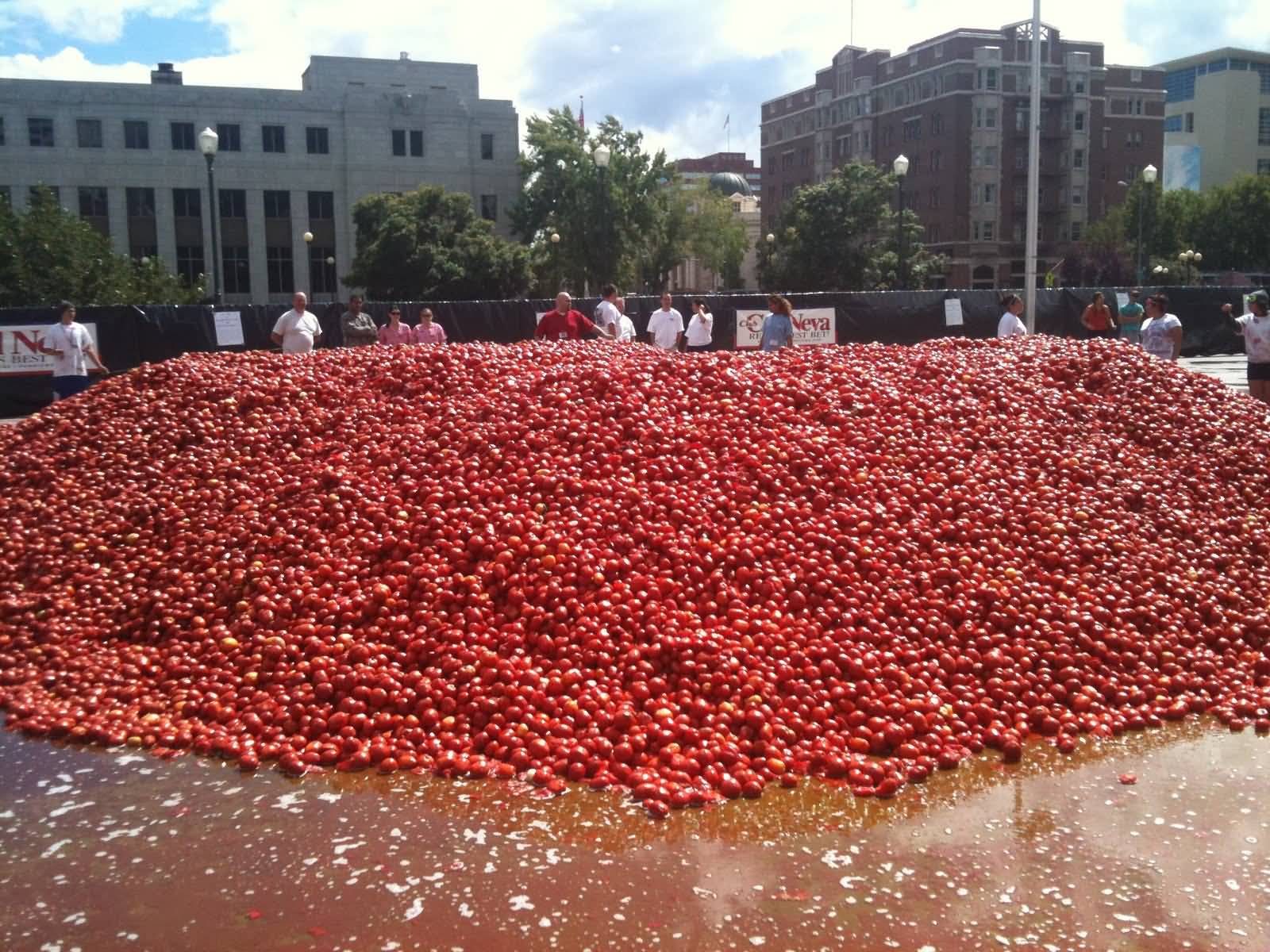 So Many Tomatoes At La Tomatina Food Fight Festival In Bunot, Spain