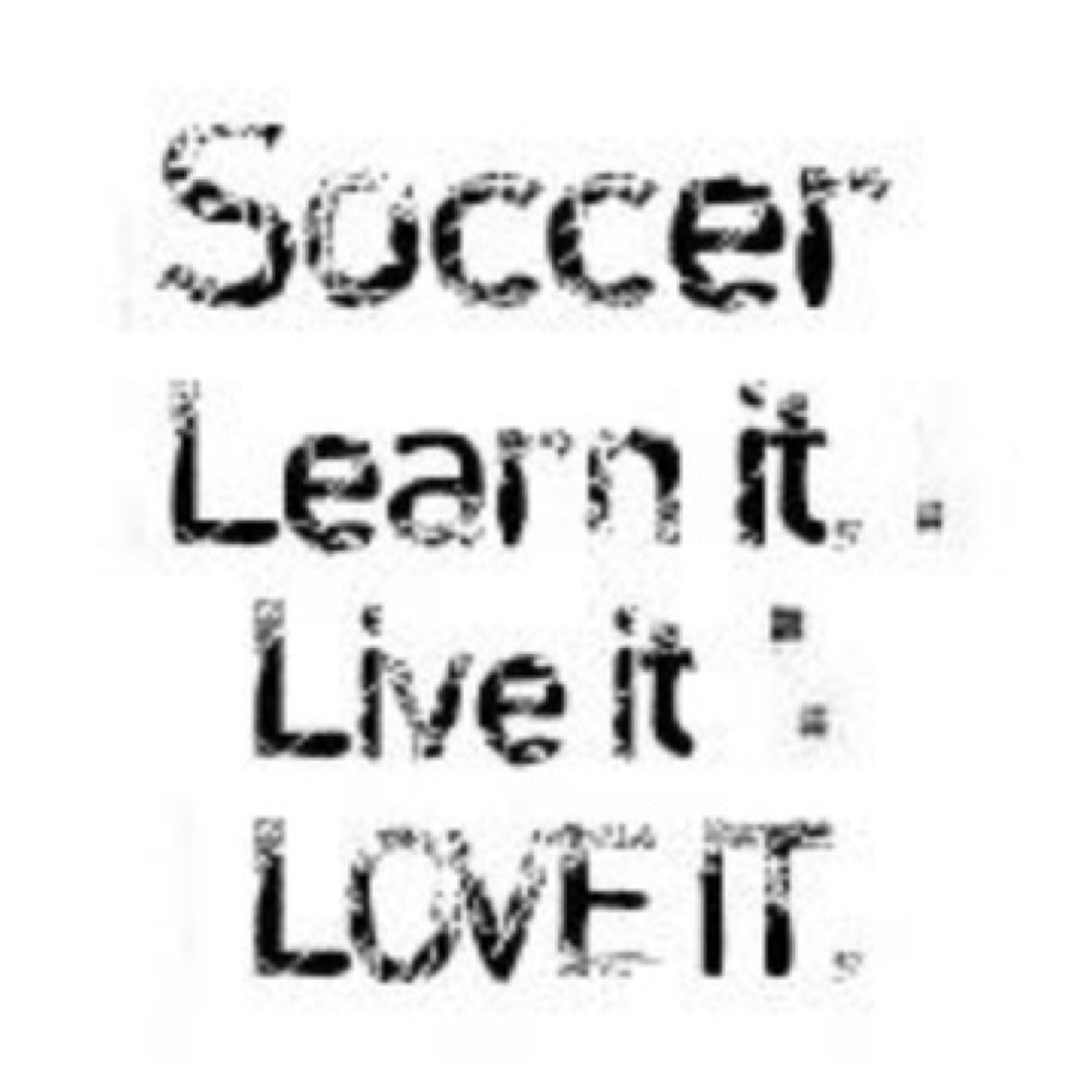 Soccer, Learn It, Live It, Love It