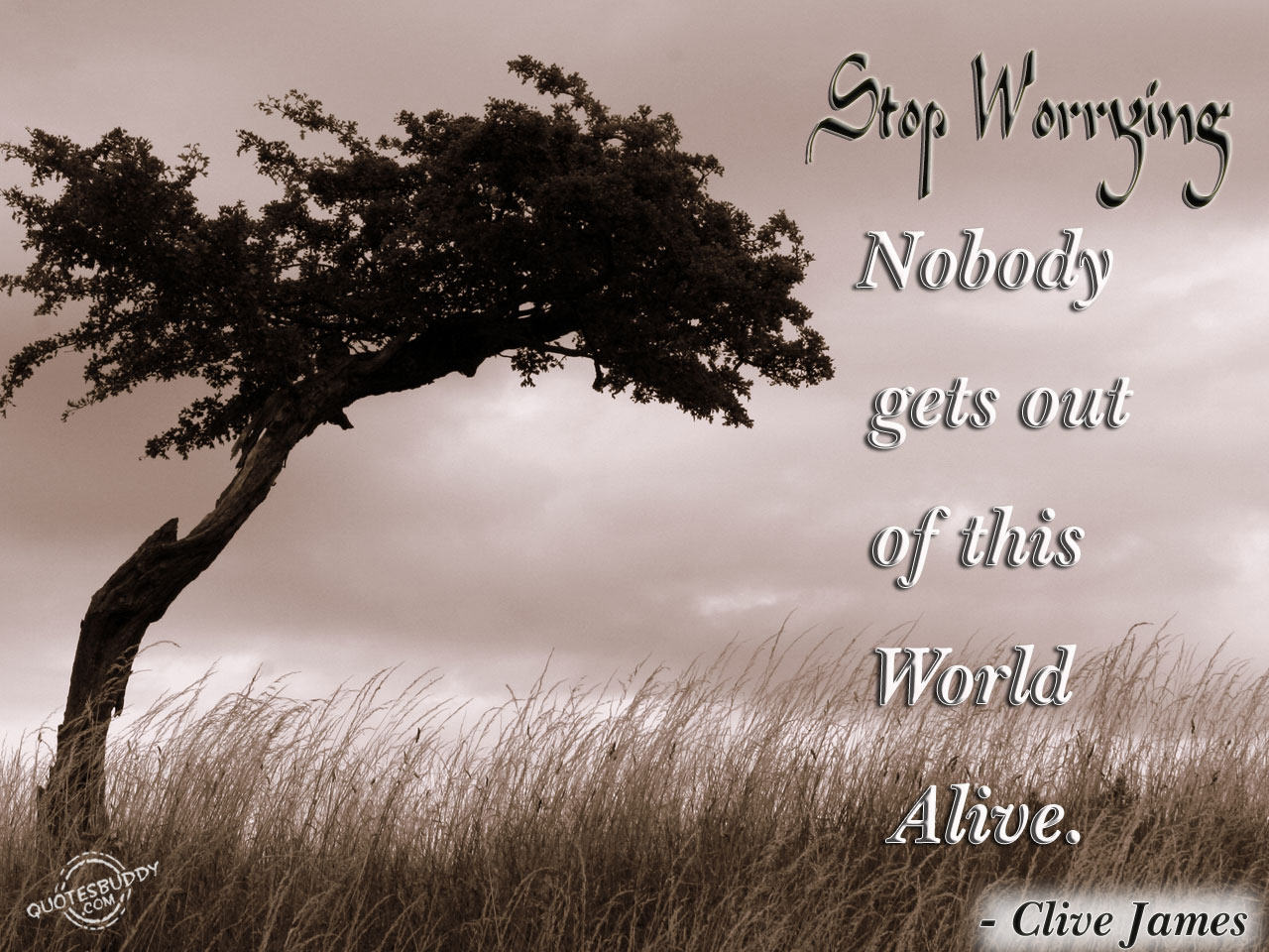 Stop worrying nobody gets out of this world alive. Clive James