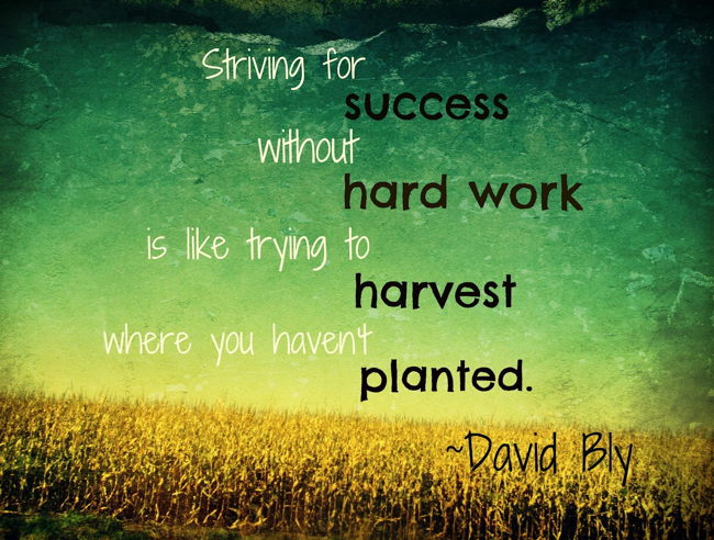 Striving for success without hard work is like trying to harvest where you haven't planted. David Bly
