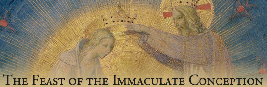 The Feast Of The Immaculate Conception Facebook Cover Picture