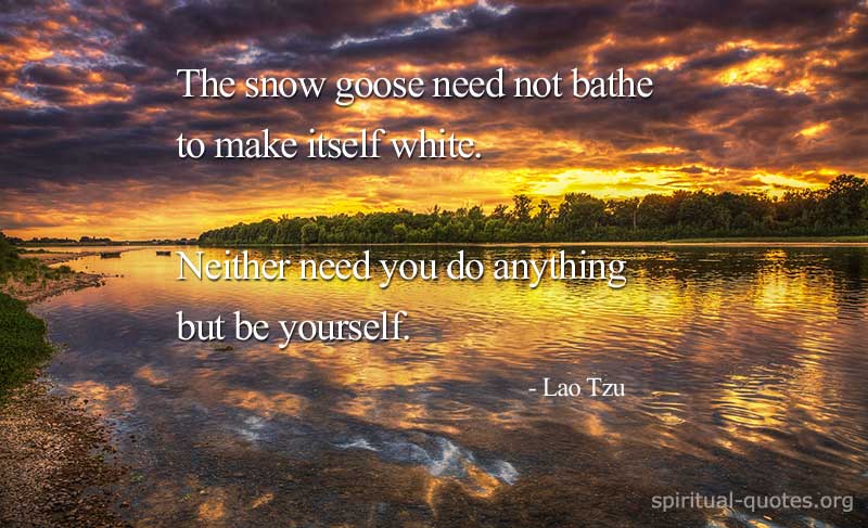 The snow goose need not bathe to make itself white. Neither need you do anything but be yourself.  Lao Tzu