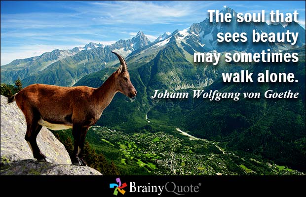 The soul that sees beauty may sometimes walk alone.  Johann Wolfgang von Goethe