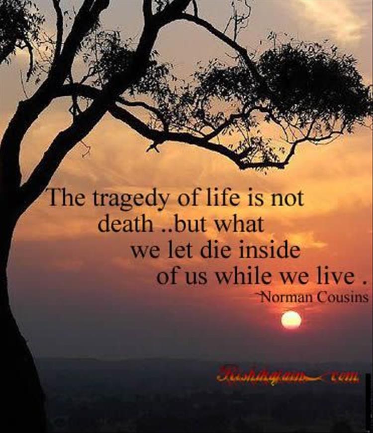 The tragedy of life is not death but what we let die inside of us while we live. Norman Cousins