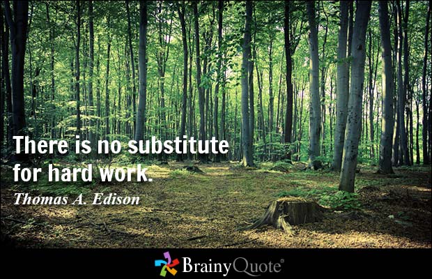 There is no substitute for hard work. Thomas A. Edison