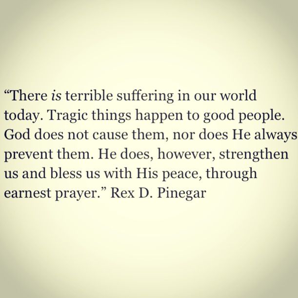 There is terrible suffering in our world today. Tragic things happen to good people. God does not cause them, nor does He always prevent them. He does, however... Rex D. Pinegar