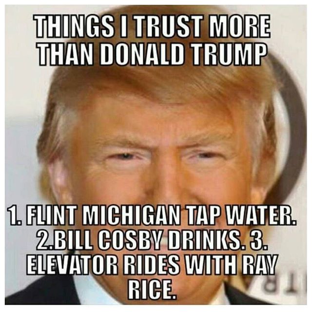 Things-I-Trust-More-Than-Donald-Trump-Funny-Donald-Trump-Meme-Image