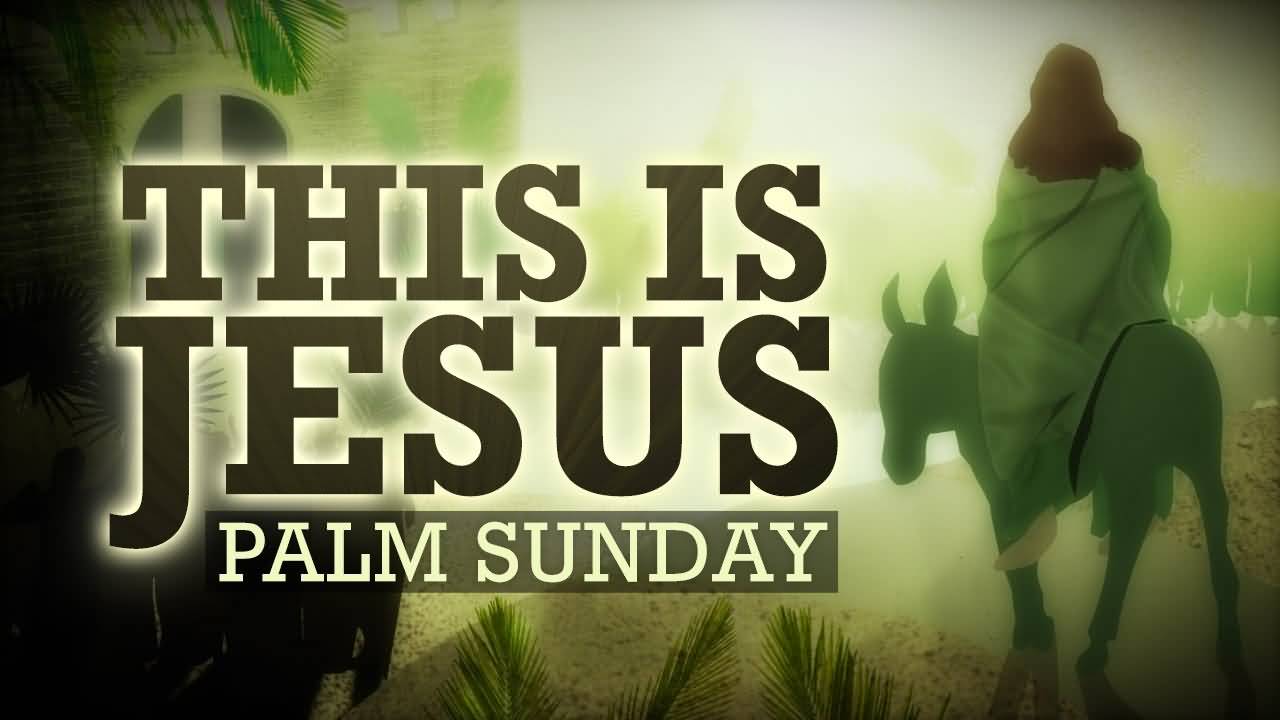 This Is Jesus Palm Sunday