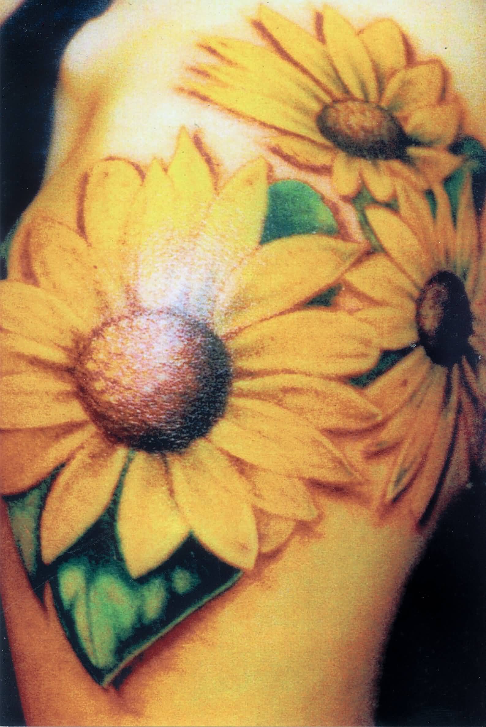 Three Realistic Sunflower Tattoos On Shoulder